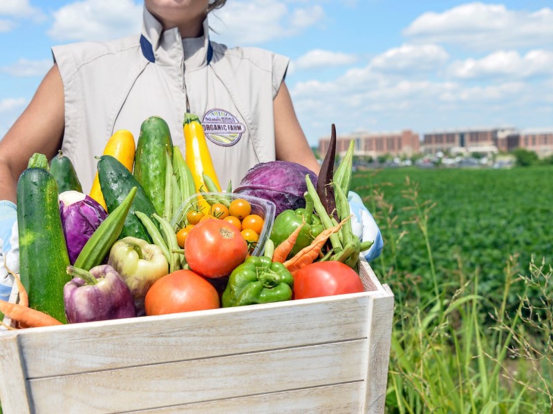 Farm Healthy Food Pledge