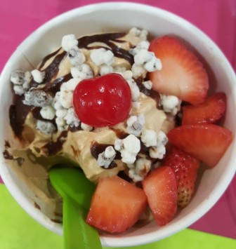 In addition to a rotating lineup of up to 12 different frozen yogurt flavors, YoFresh customers could choose from dozens of different toppings such as Nutella syrup, cookies-n-cream crumbles, fresh strawberries and cherries.