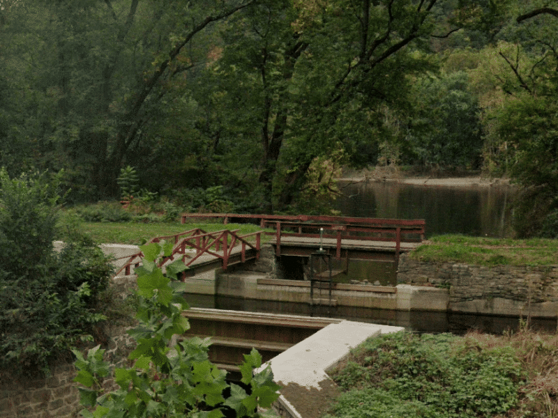 Frys Run Williams Township Grant DCNR