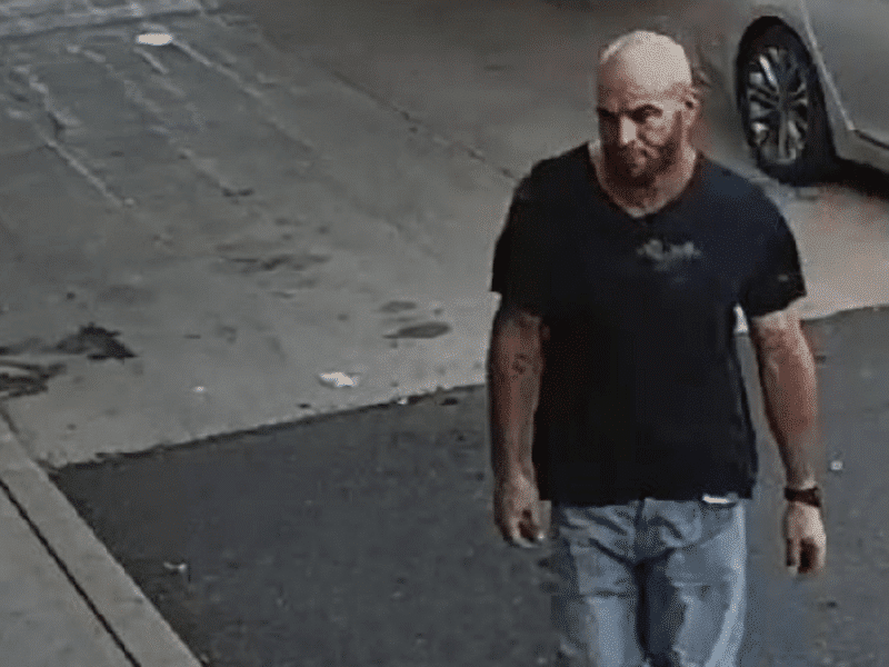 Hamburglar Green Lane