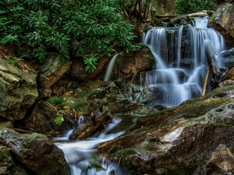 Hike Woods Lost Hellertown