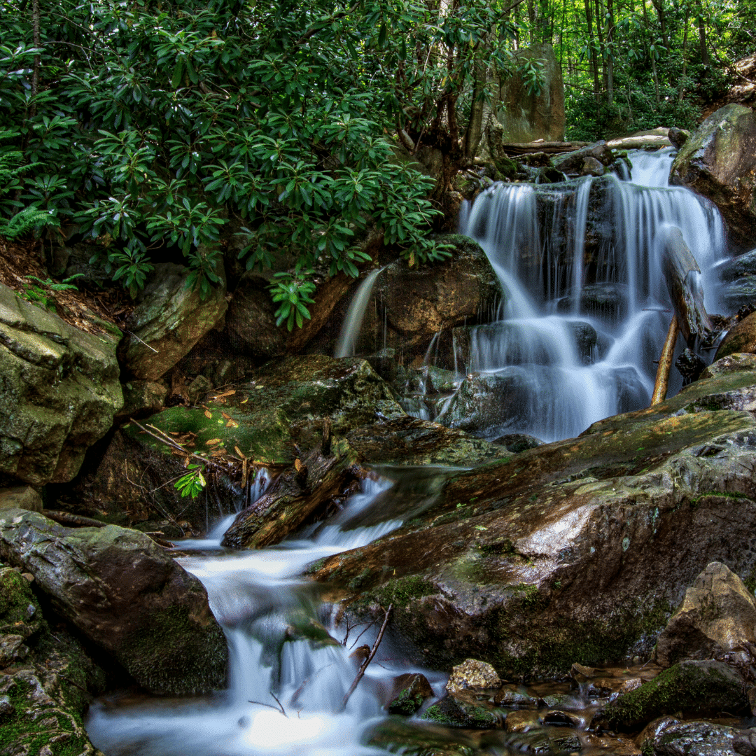 Hike Woods Lost Hellertown