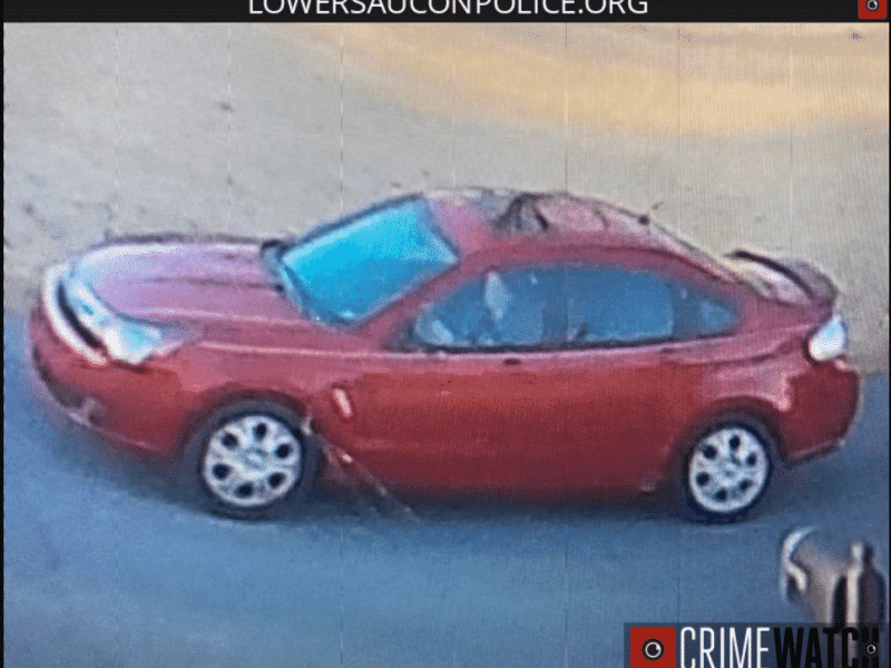 Hit and Run Dartford Shrub