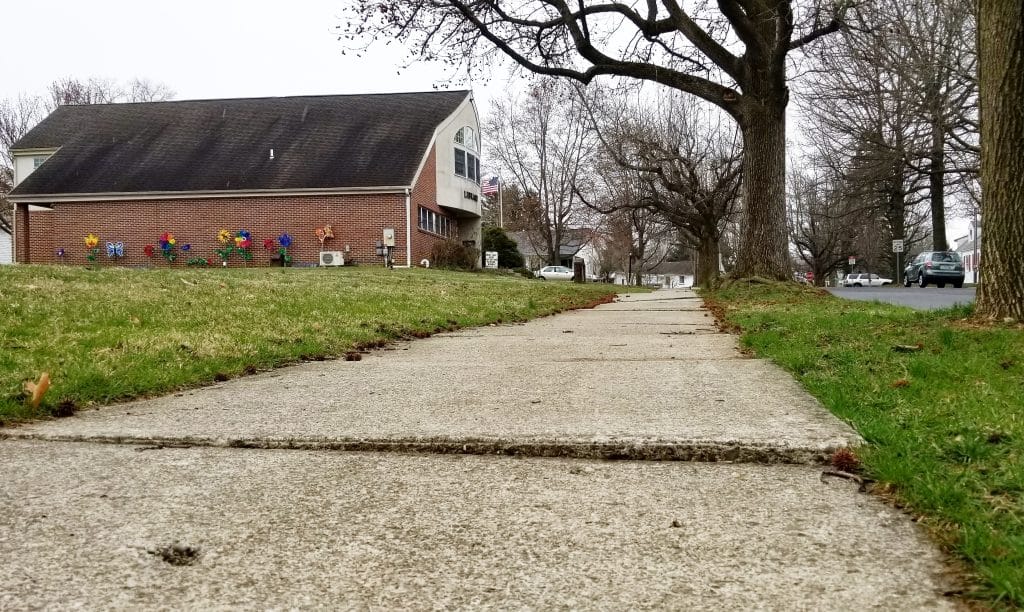 Sidewalk Trees