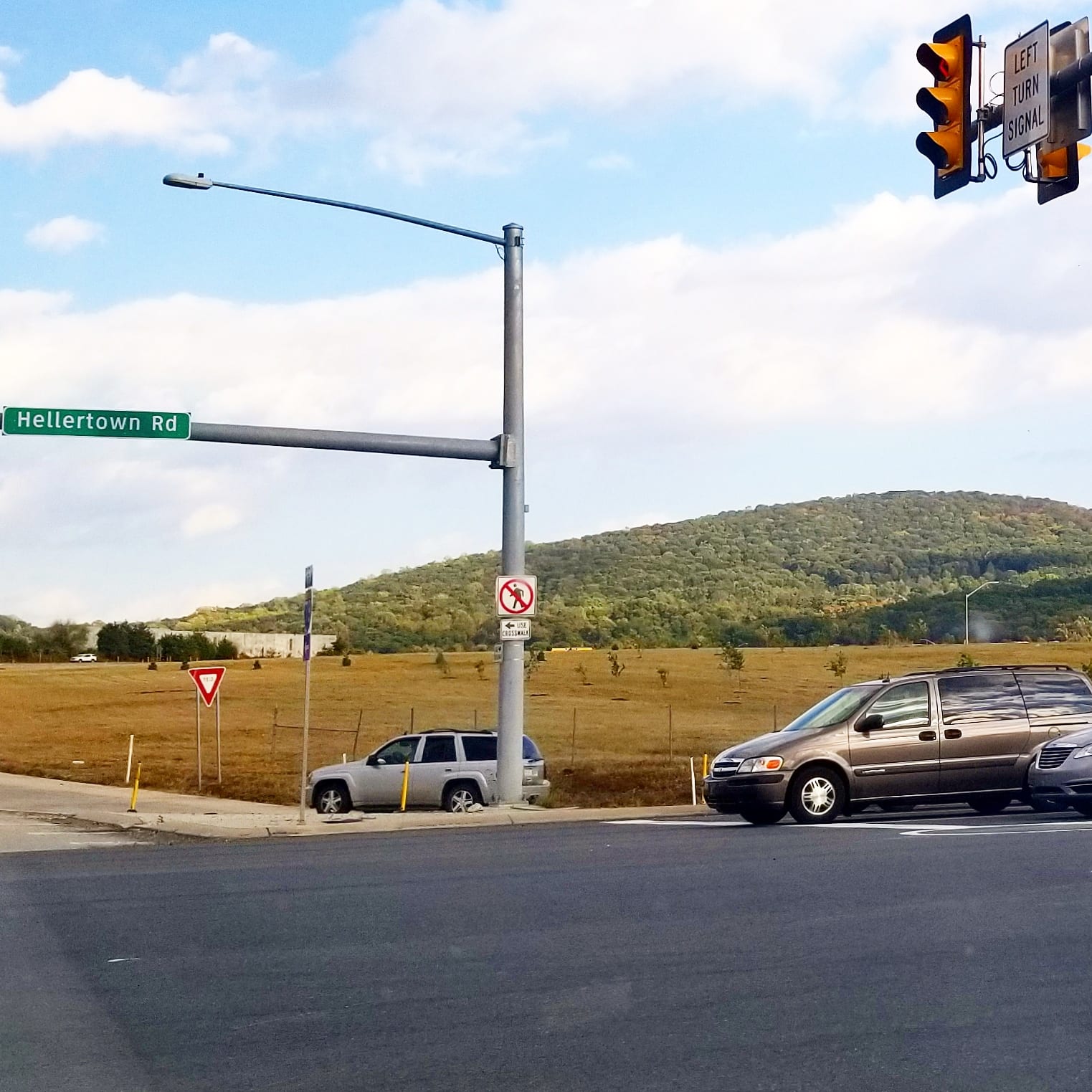 Hellertown Tree Project