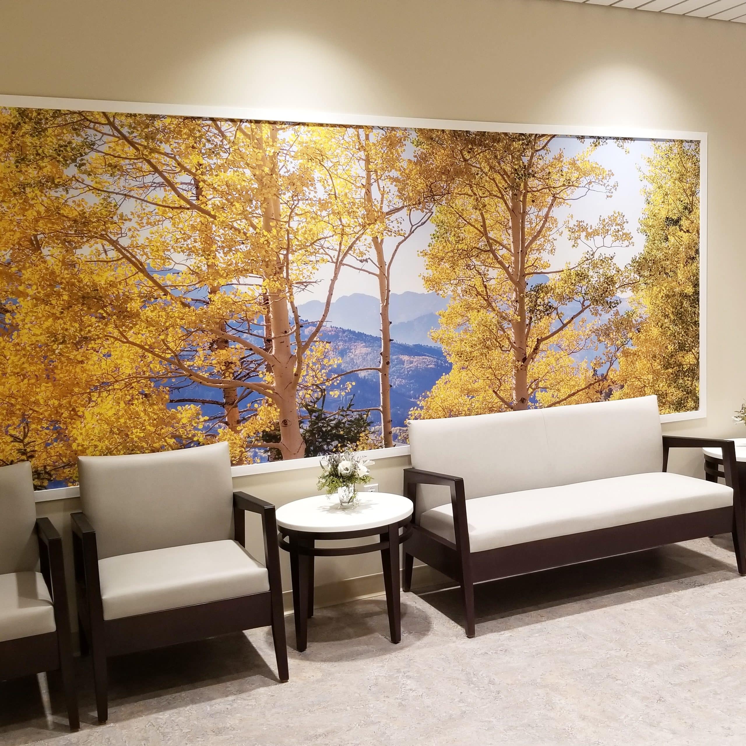 Women & Babies Pavilion