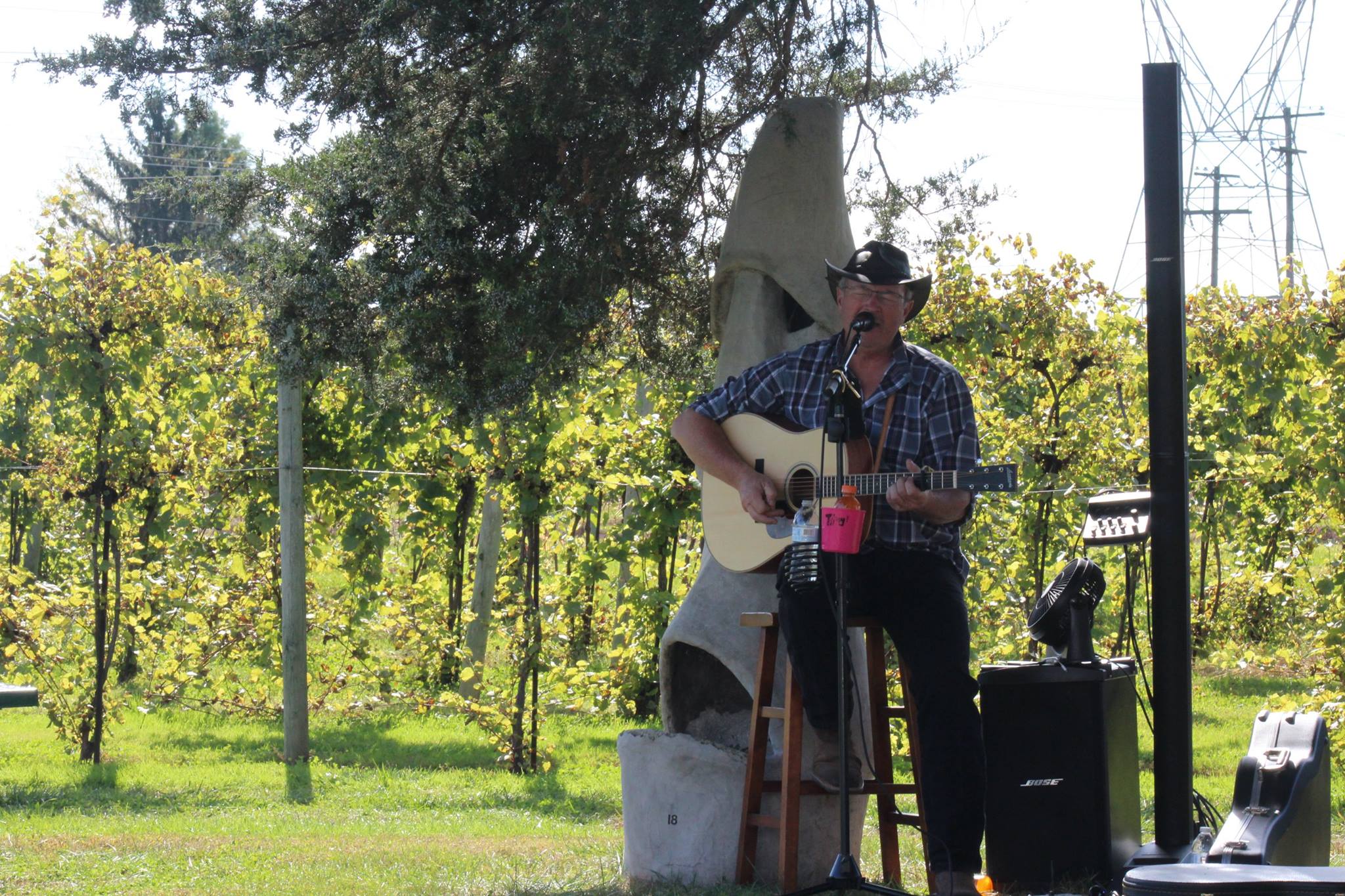 Live music at Buckingham wines