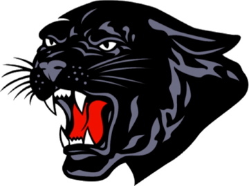 Saucon Valley Panthers