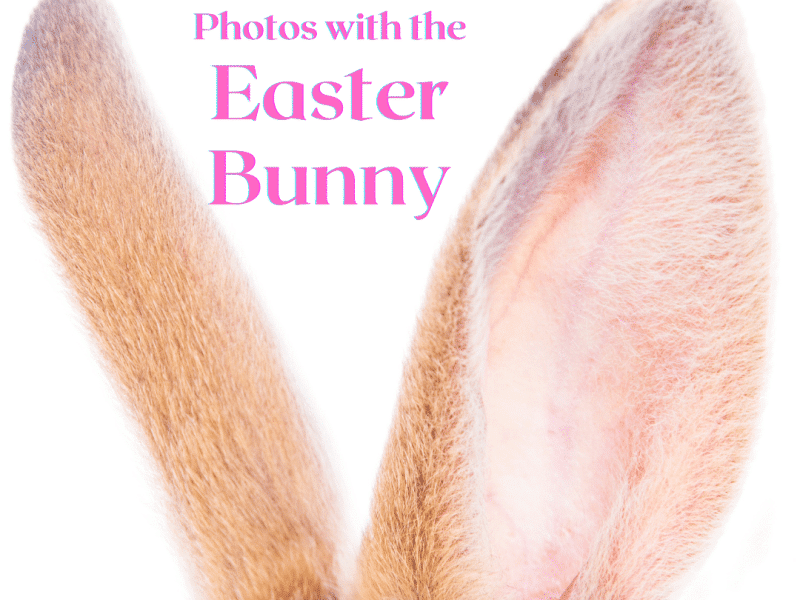 Photos with the Easter Bunny