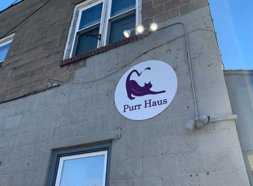 Purr Haus