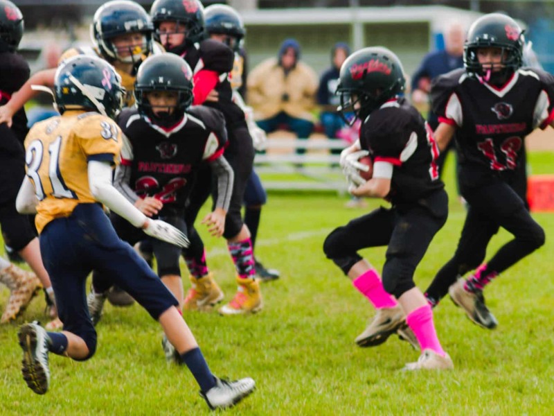 Little Panther Rundown