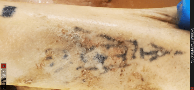 Tattoo Body Delaware Bucks