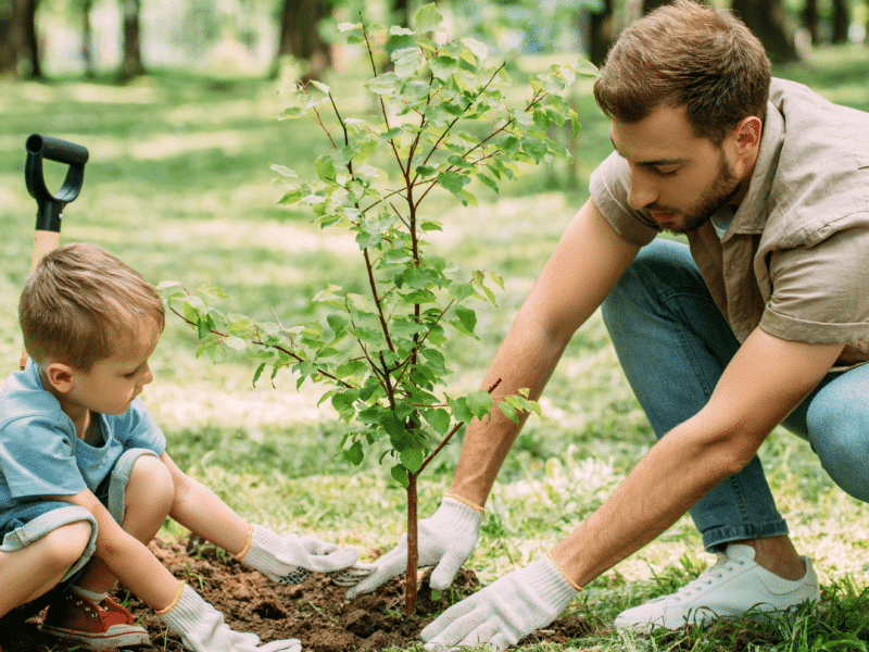 Trees Saucon Valley Planting