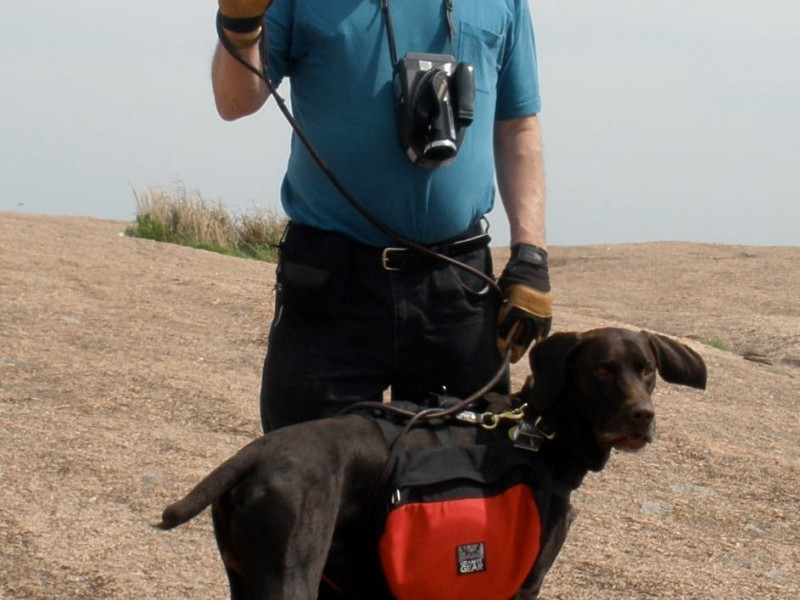 Dennis Wayne Csekitz