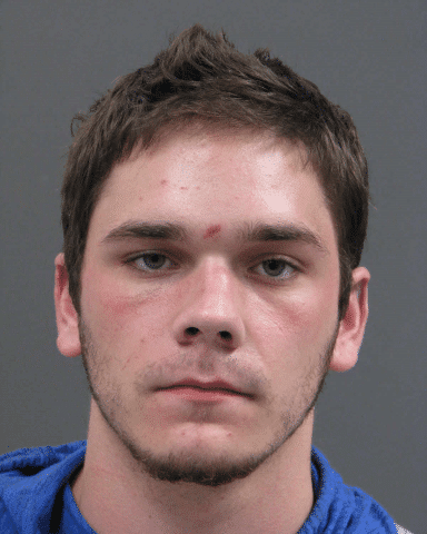 Dylan Rodd Sex Assault