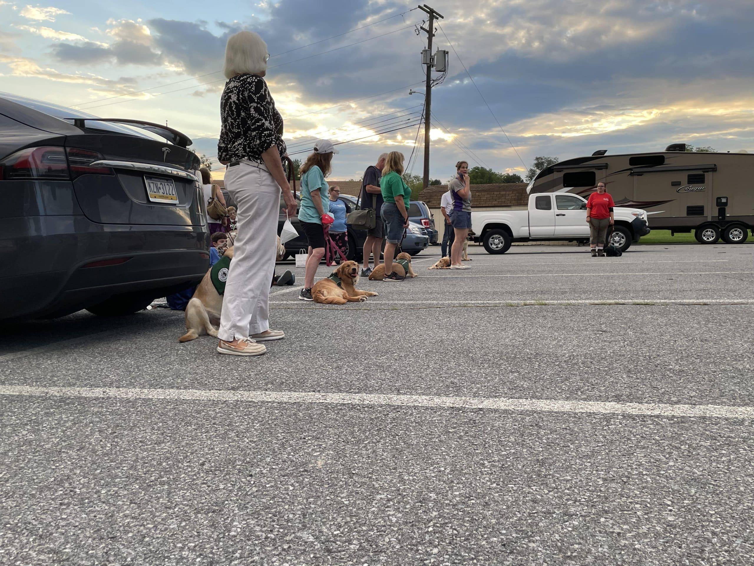 Seeing Eye puppies in training visit Lower Saucon