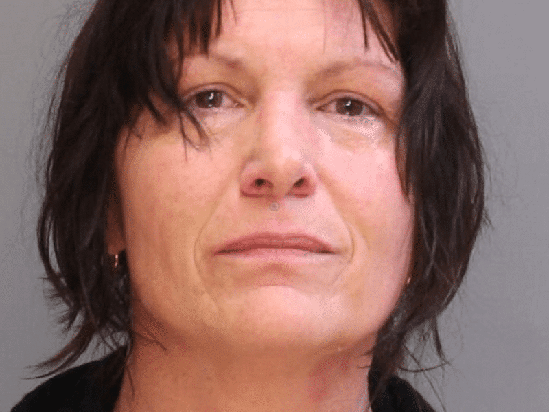 Nancy Marie Sowers DUI