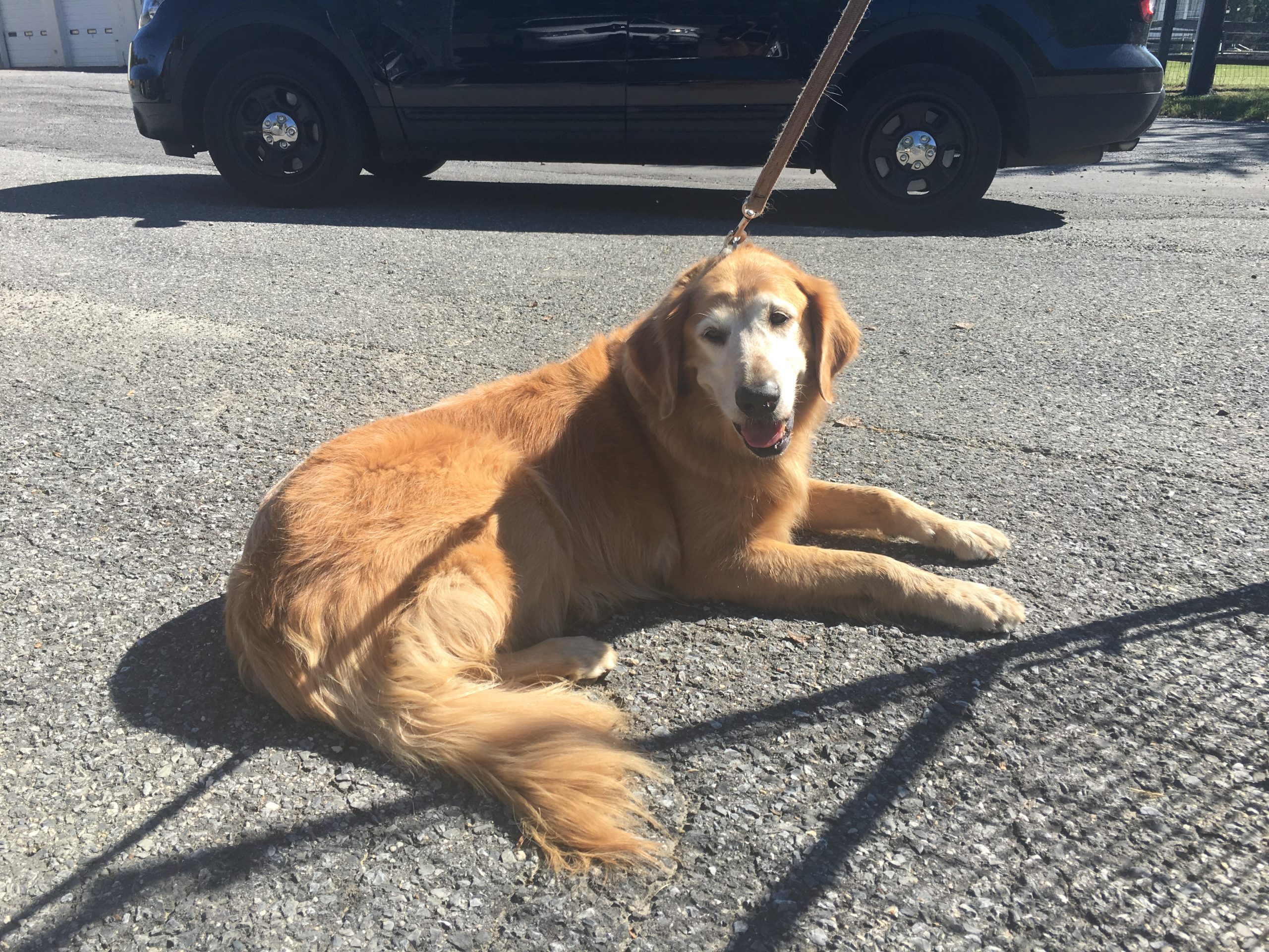 user33699-1474818697-media1